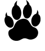 Men's design