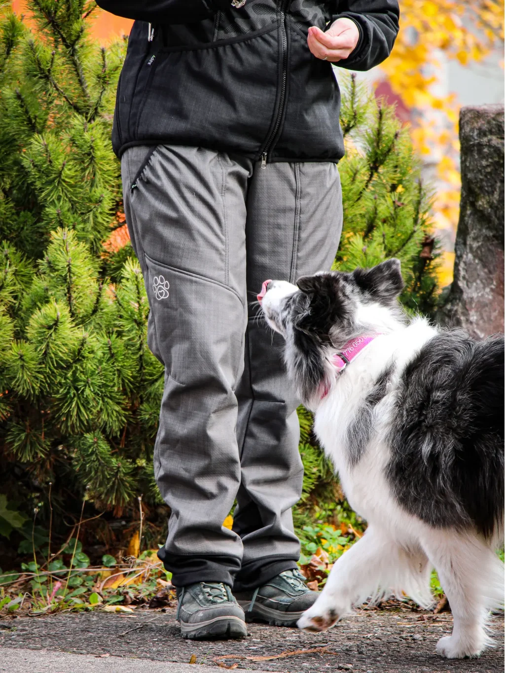 Women’s winter training pants with sherpa lining - anthracite 4dox