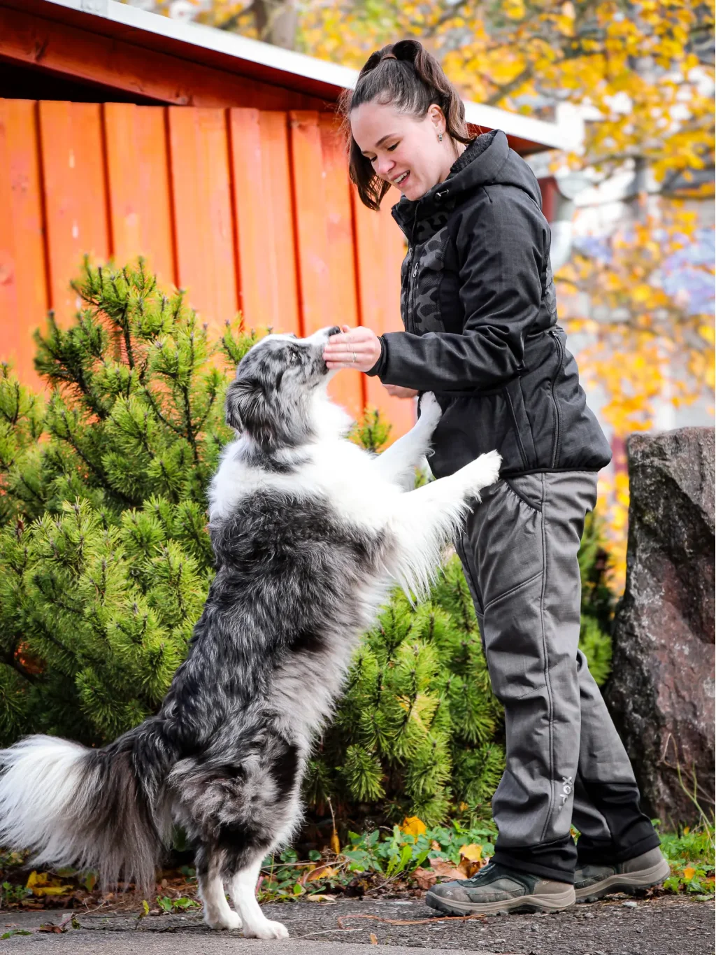 Women’s winter training pants with sherpa lining - anthracite 4dox