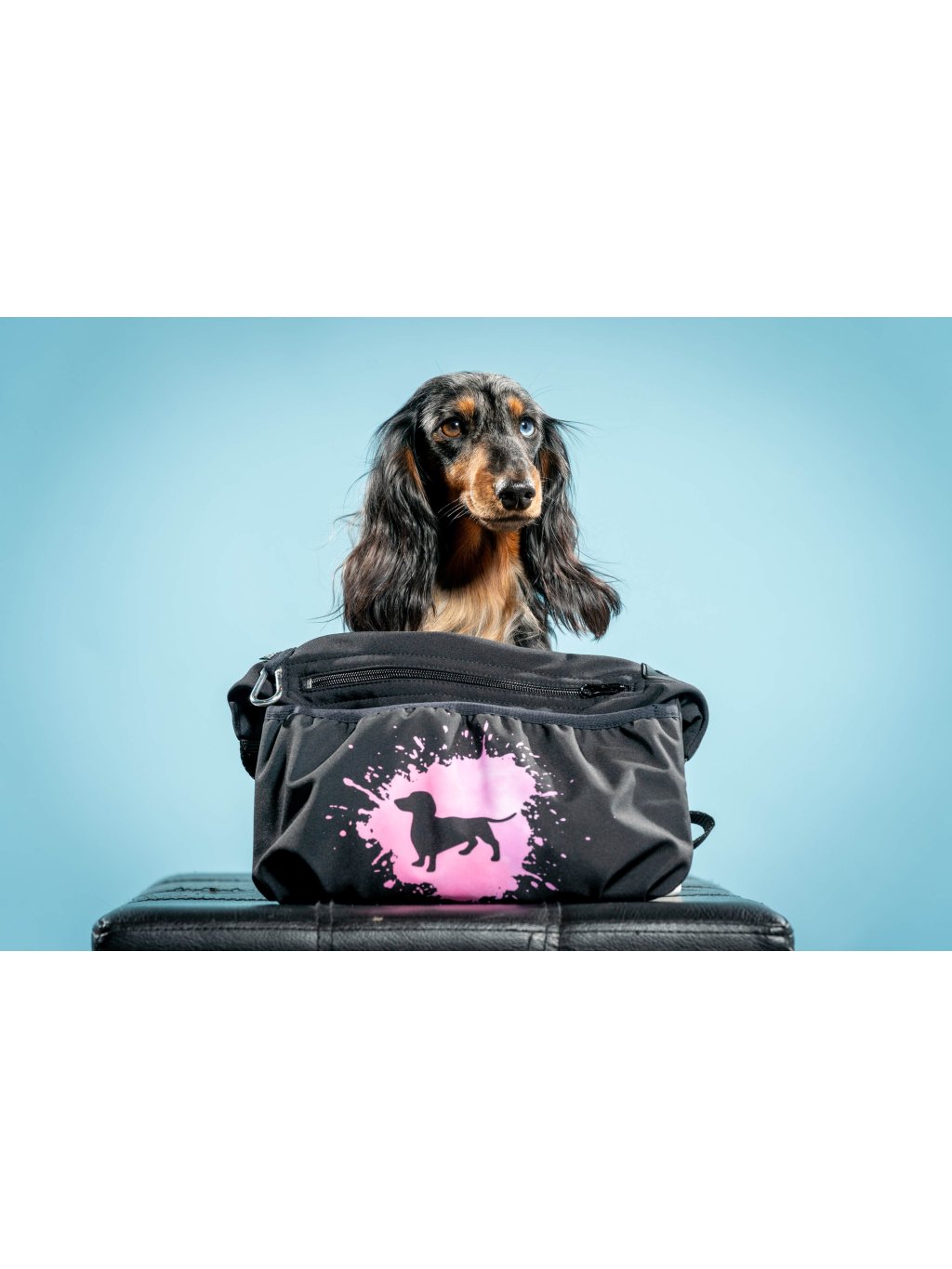 Treatbag  XL 1K pink Bordercolia longhaired BC2 sale