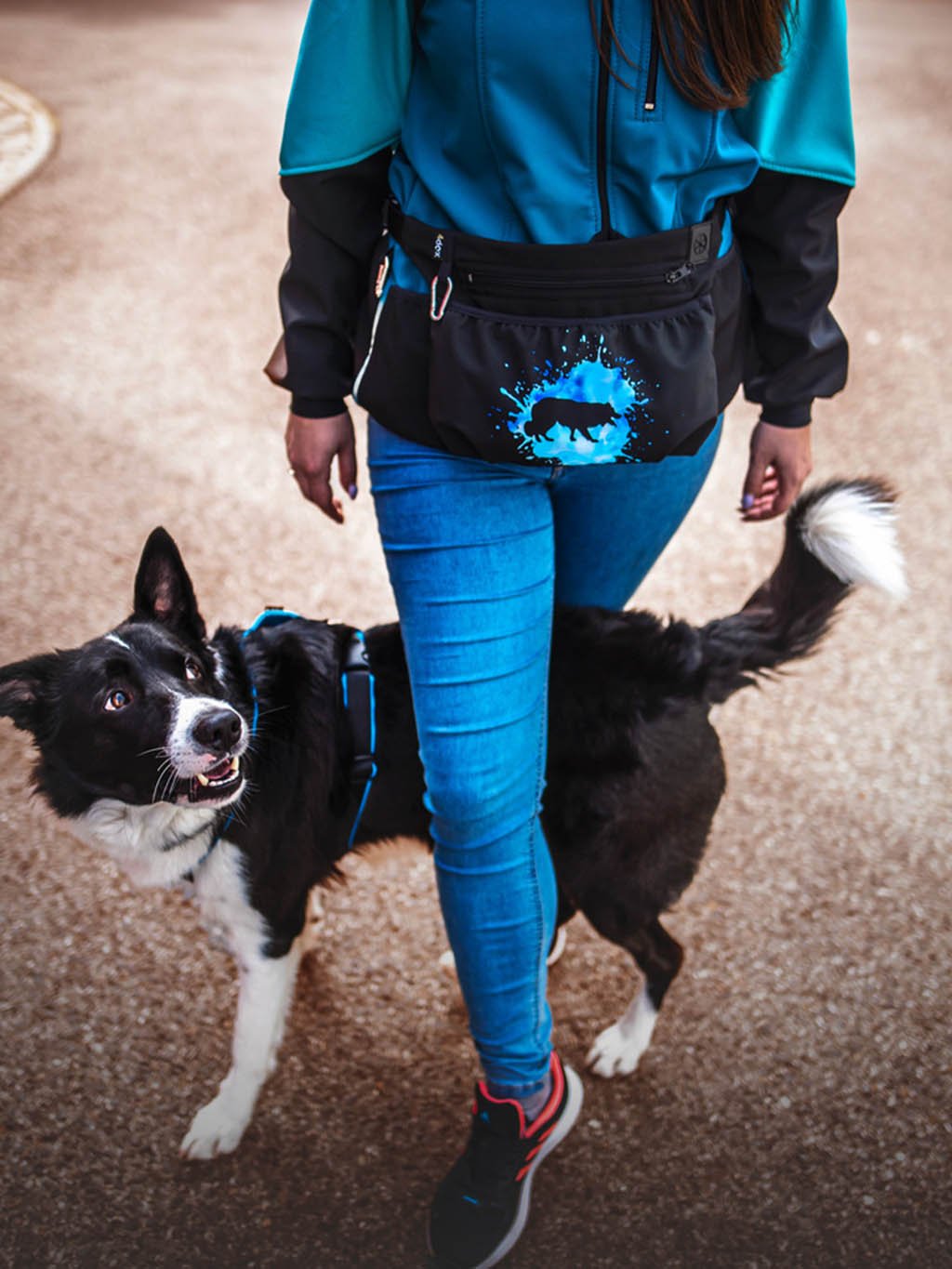 Treat pouch  XL 2K Jack Russell Terrier JRT 4dox
