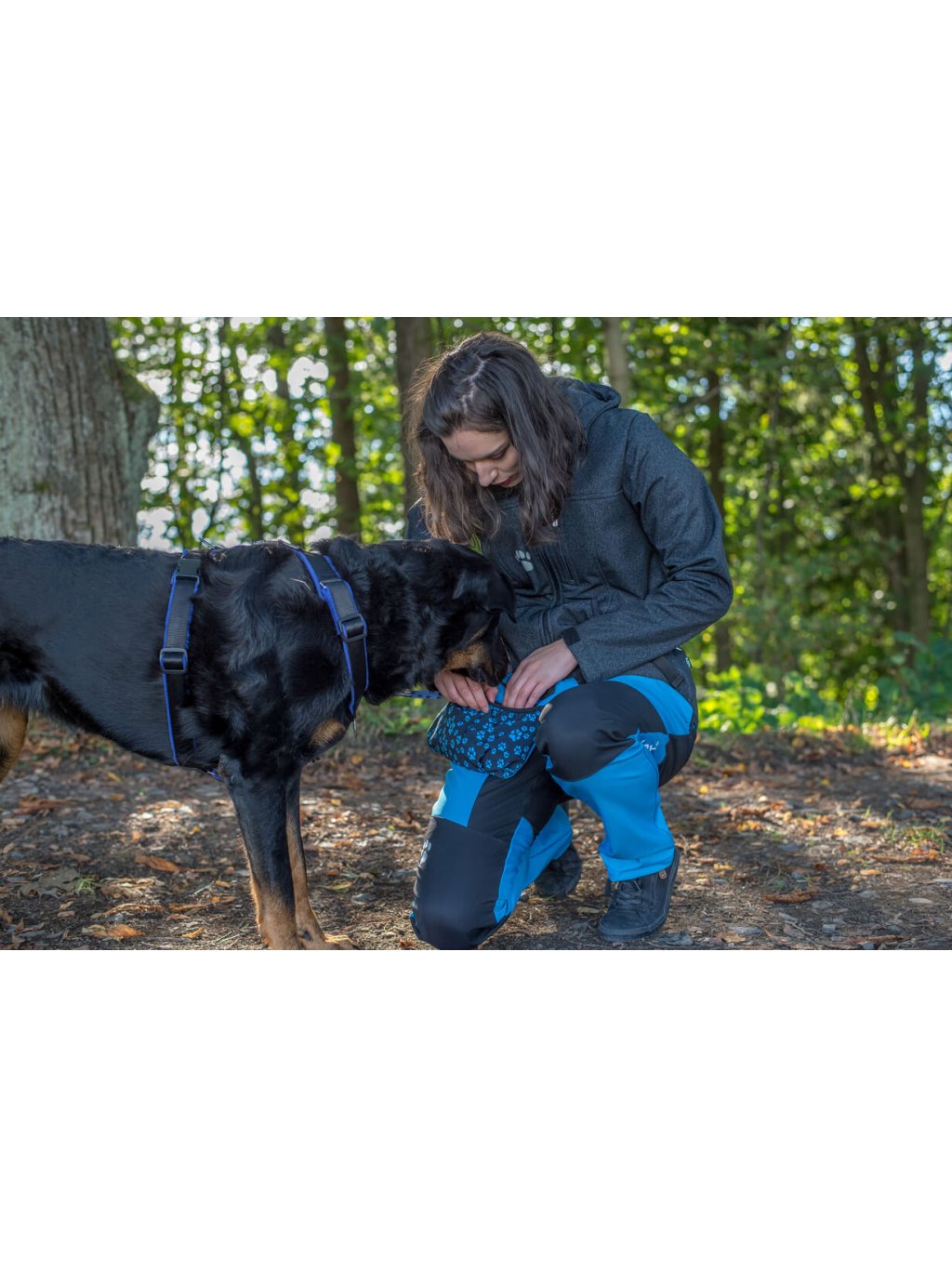 Dog training treat pouch XL Aqua