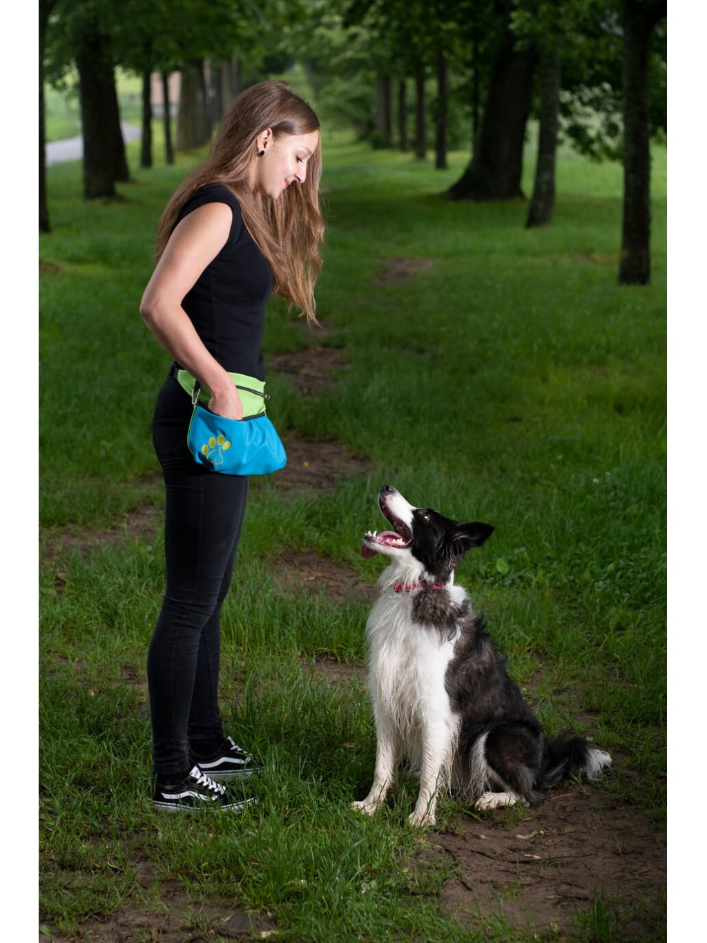 Dog training treat pouch XL azure blue