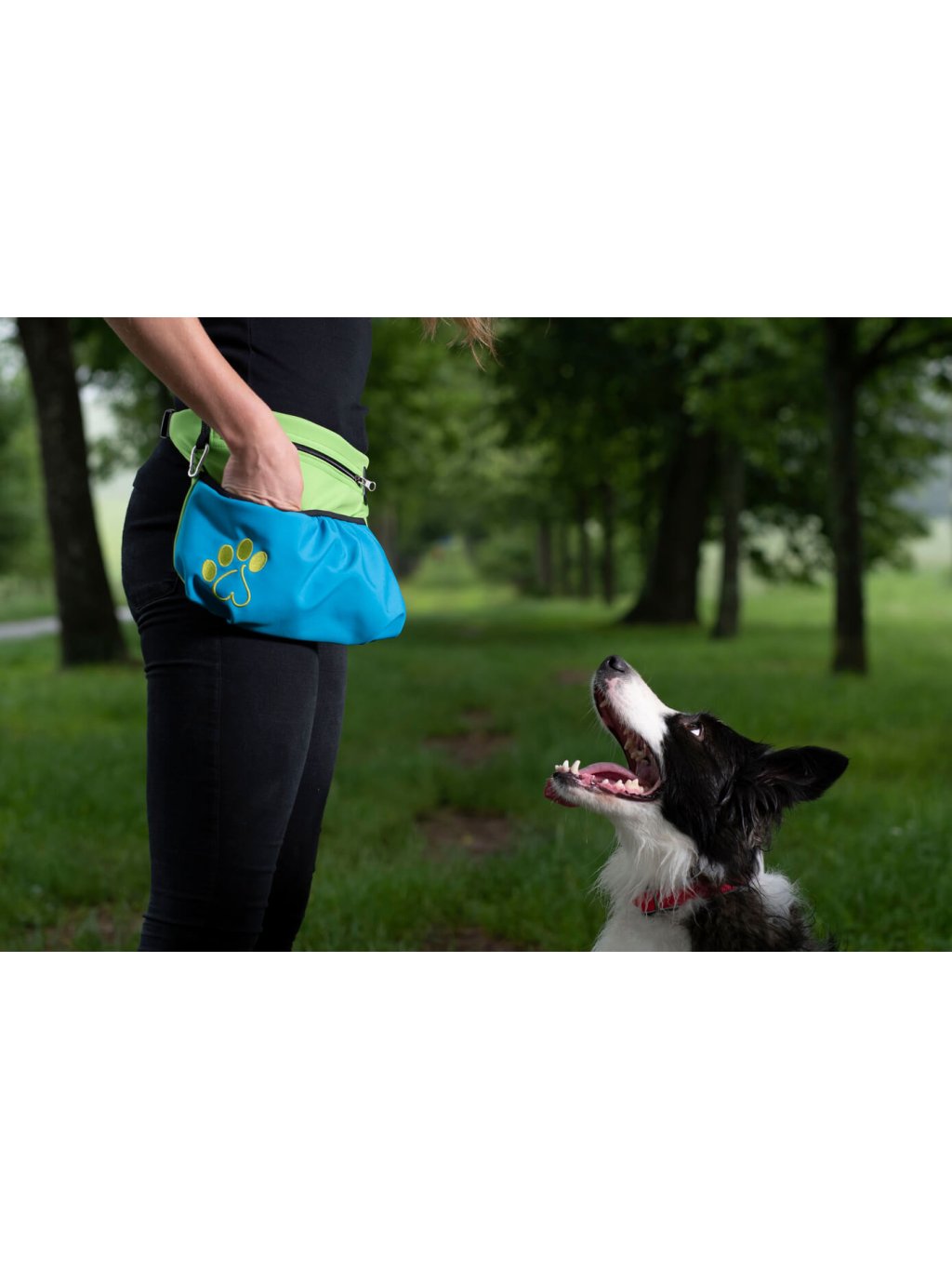Dog training treat pouch XL azure blue
