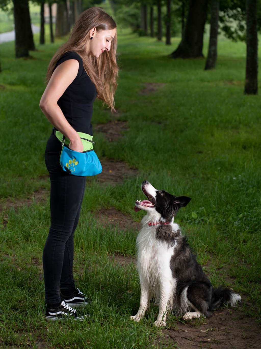 Dog training treat pouch XL Yin-Yang