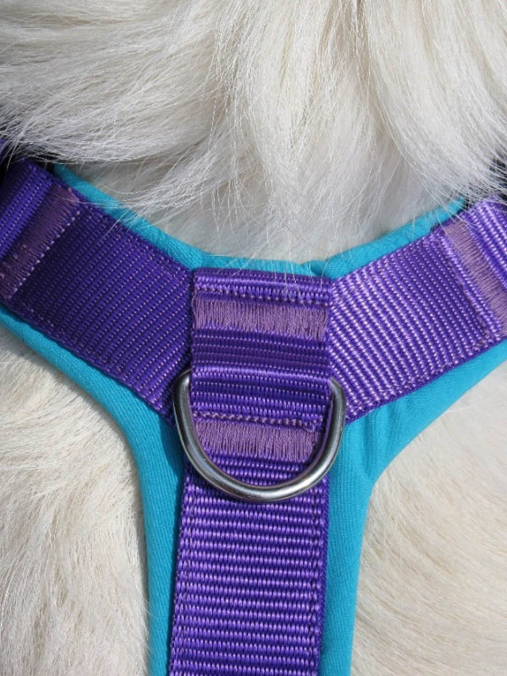 Comfort plus harness - cinnamon with paws