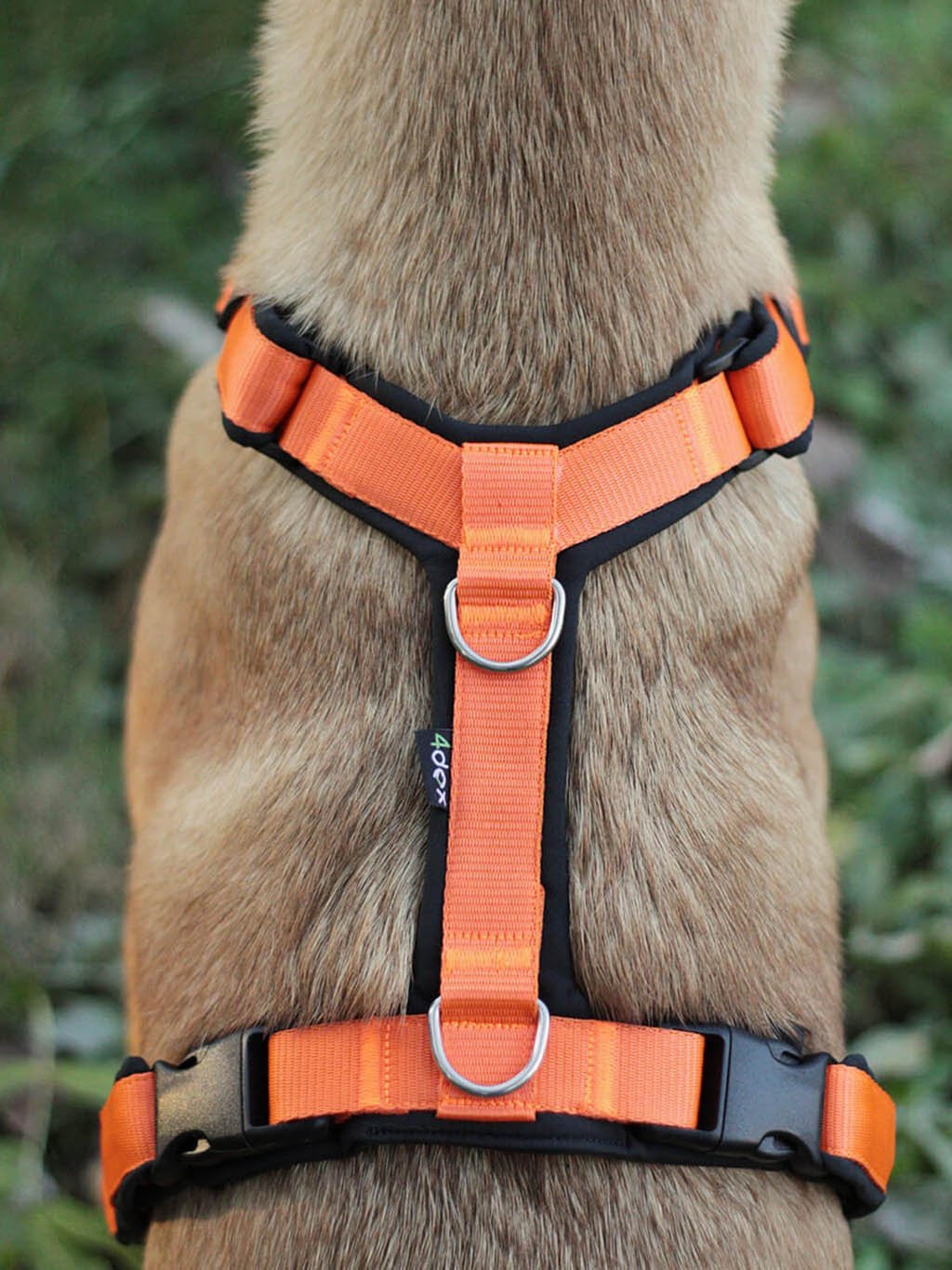 Comfort plus harness - cinnamon with paws