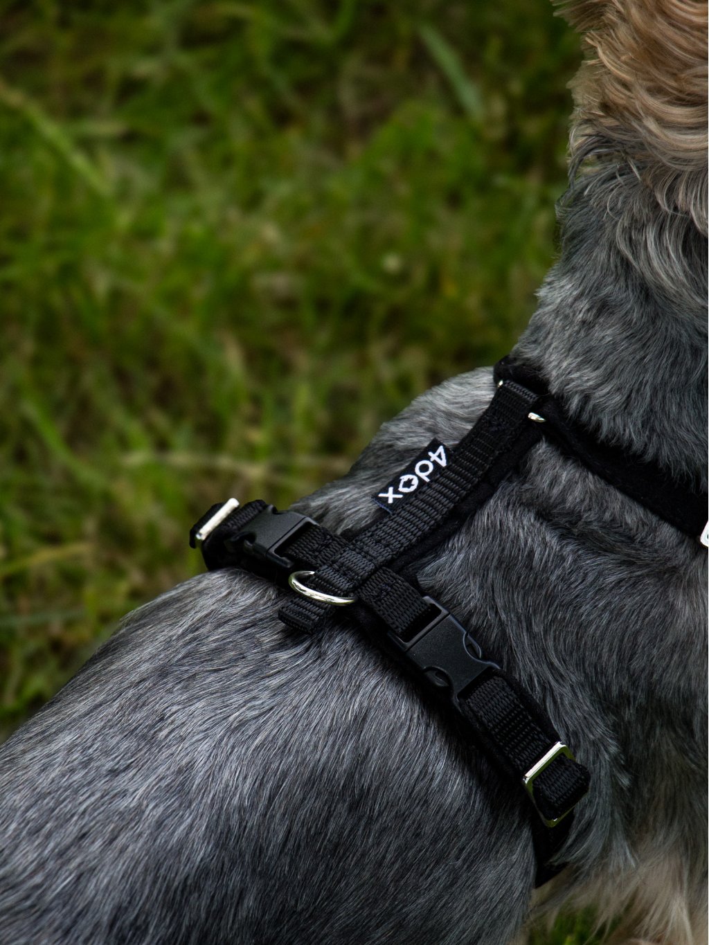 MINI harness - custom made