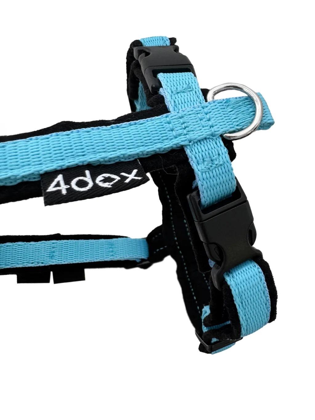MINI harness turquoise