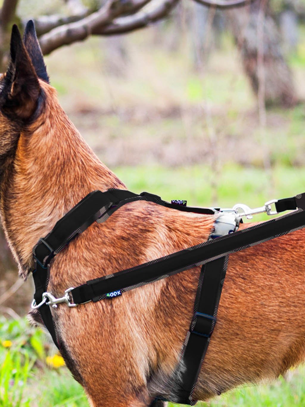 switching leash - BLACK - REFLEX MASK - 4dox.com
