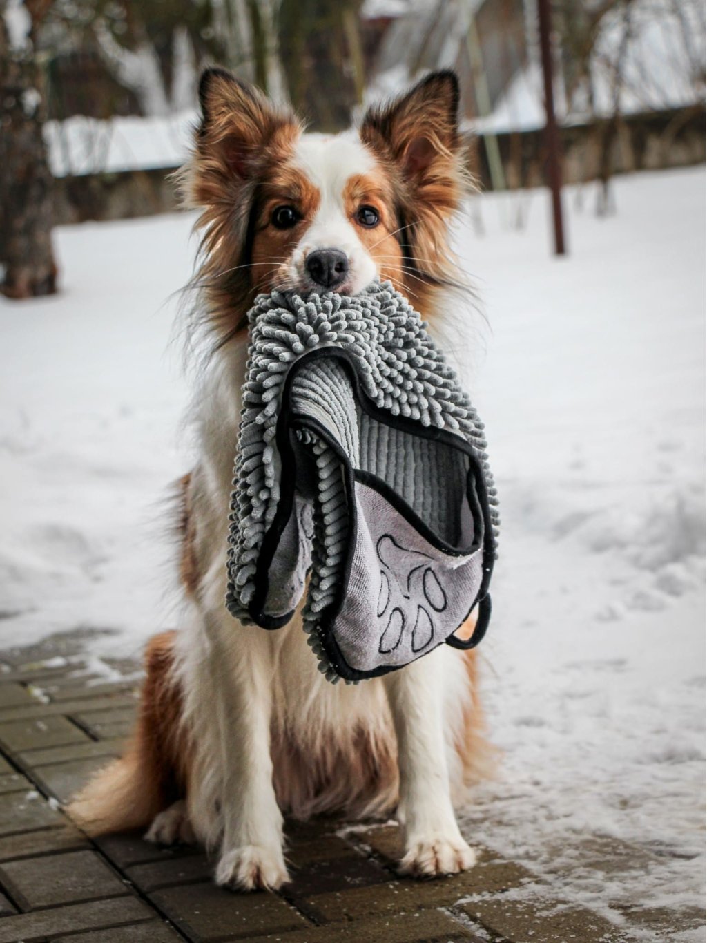 Dog body towel