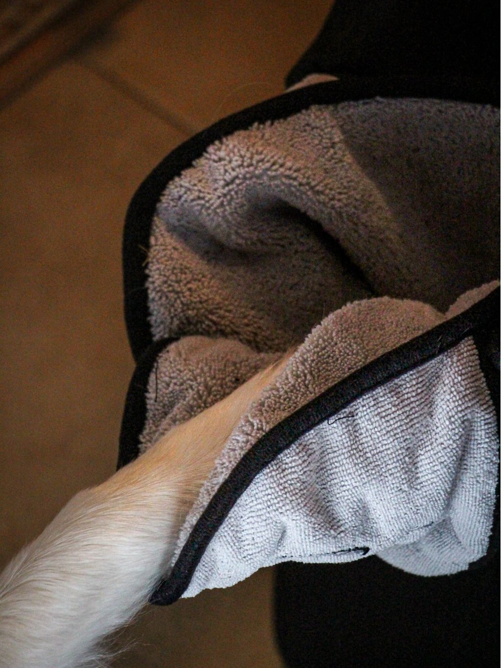 Towel for dog paws