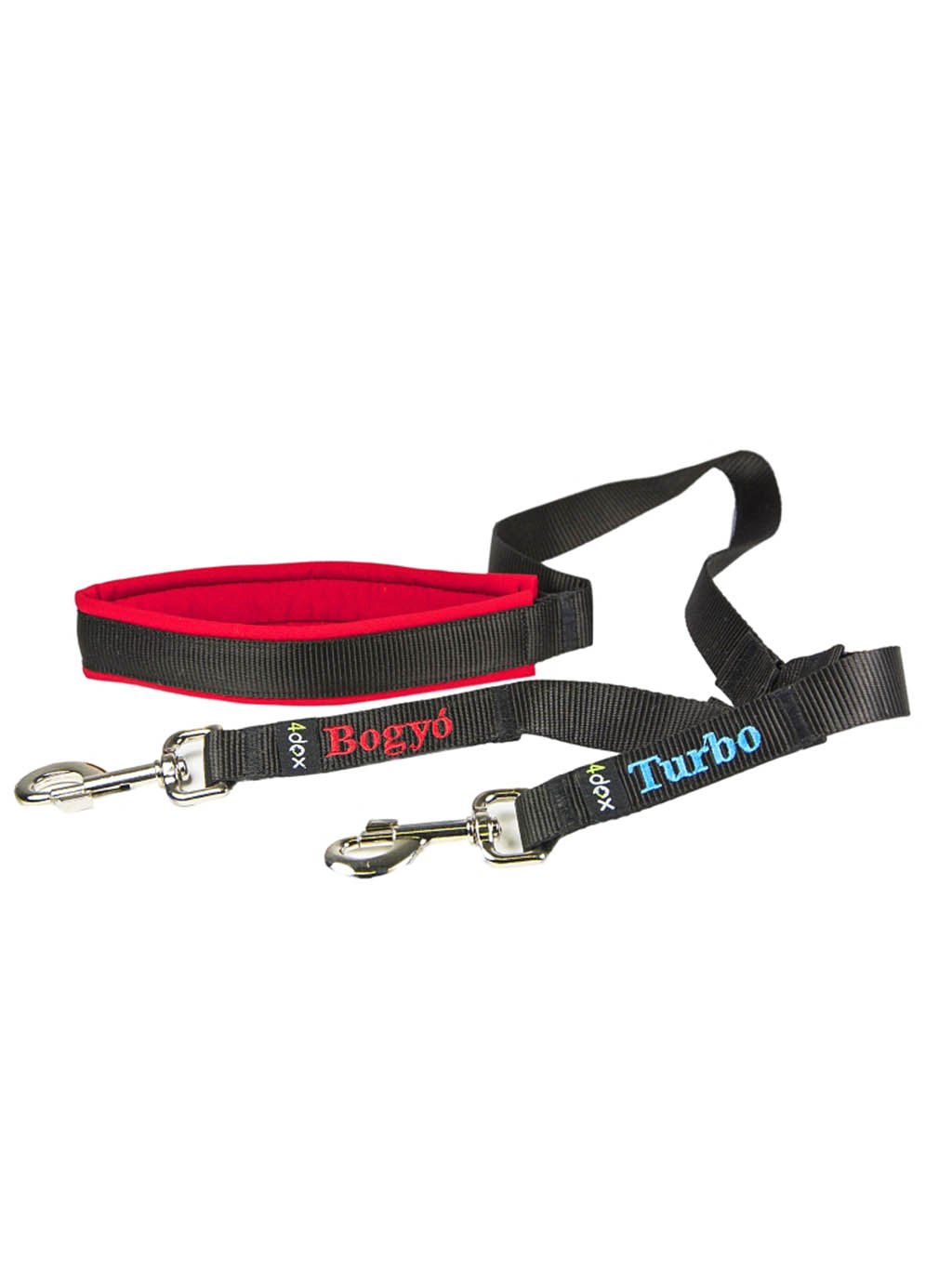 Leash for two dogs - customized leash