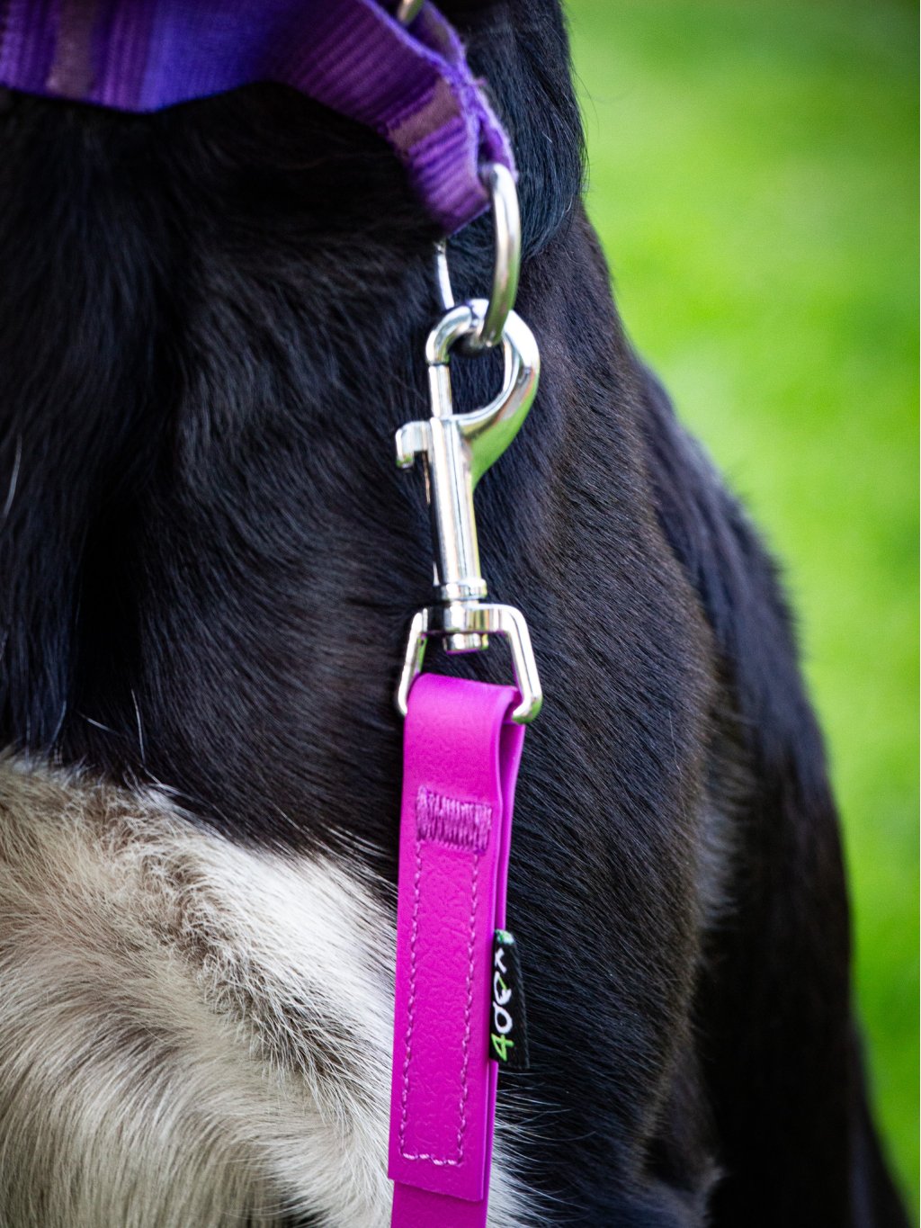 Long line leash mini BLACK 4dox