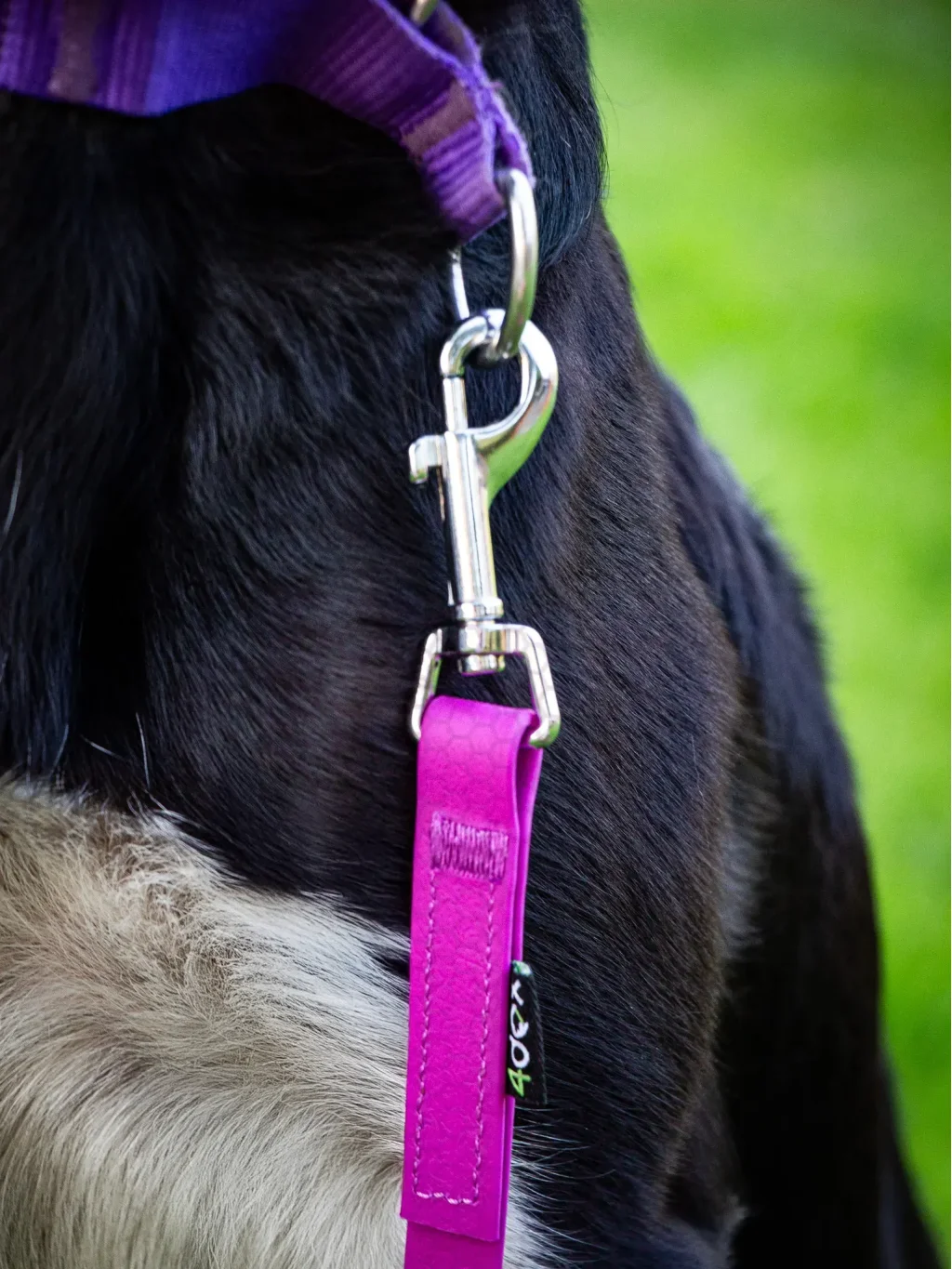 Long line leash mini OLIVE 4dox