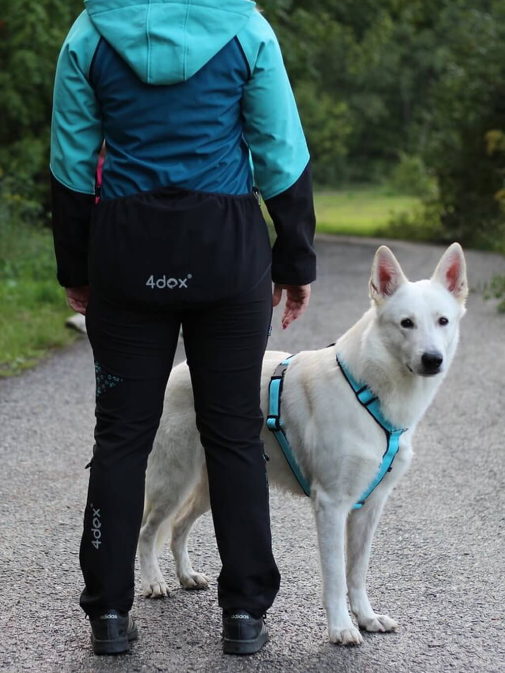 Women's training jacket 2 in 1 turquoise