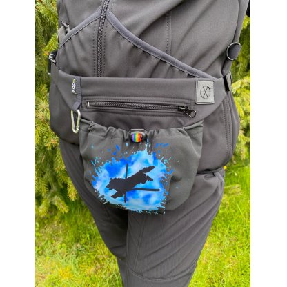 Pillbox 2in1 blue Border Colie BC3 4dox