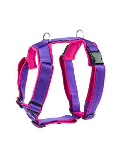 Harness comfort plus - purple
