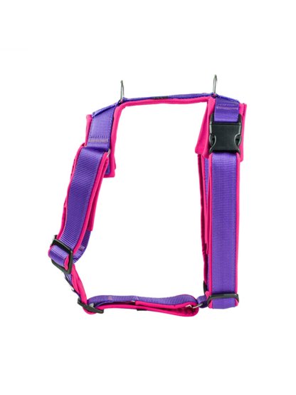 Harness comfort plus - purple 2