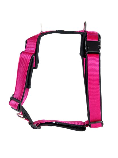 Harness comfort plus - pink 2