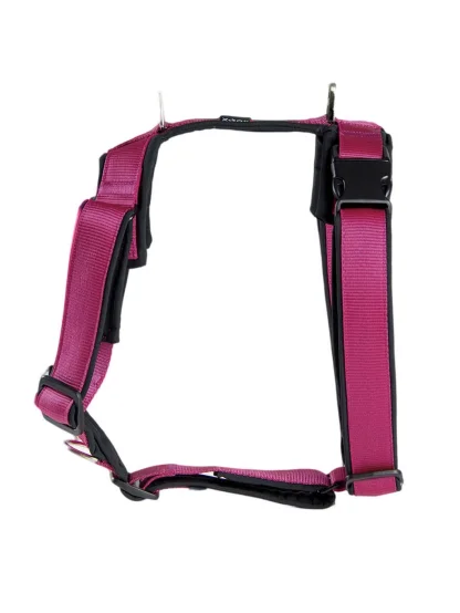 For dogs - 4dox