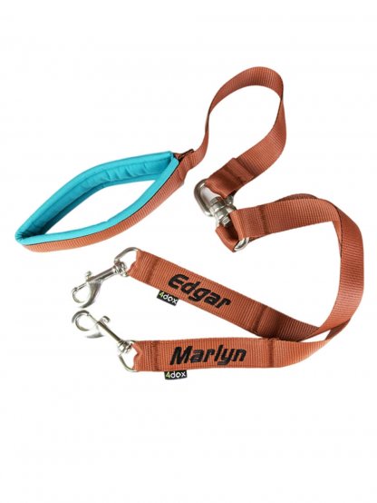 Leash for two dogs - customized leash 2