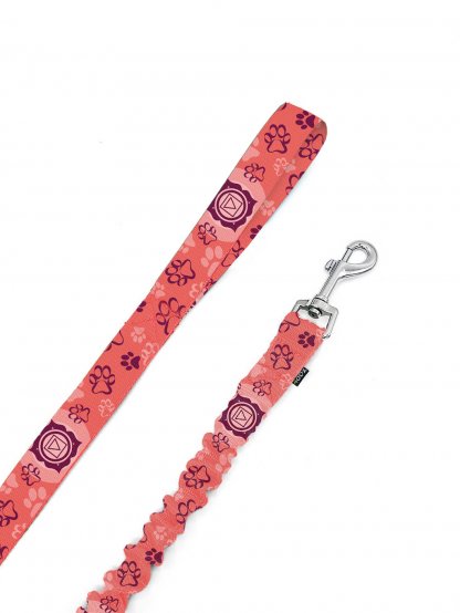 Leash with shock absorber CHAKRY salmon