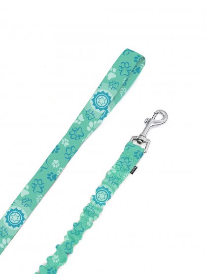 Leash with shock absorber CHAKRY mint