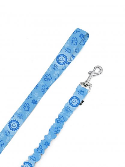 Leash with shock absorber CHAKRY blue