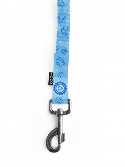 Leash with shock absorber CHAKRY blue 2