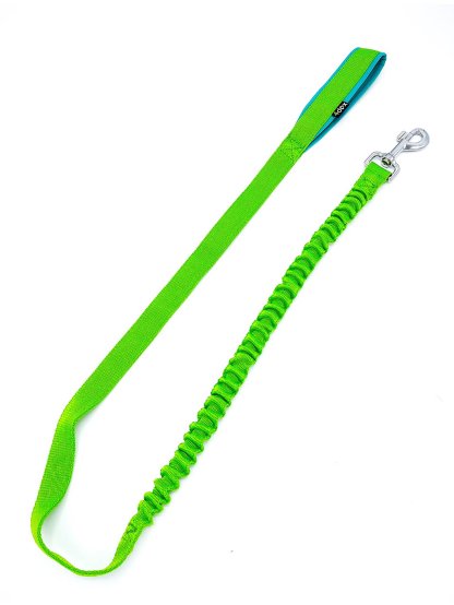 Leash with a shock absorber LIME 2
