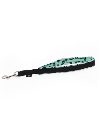 Extra strong training leash - mint paw