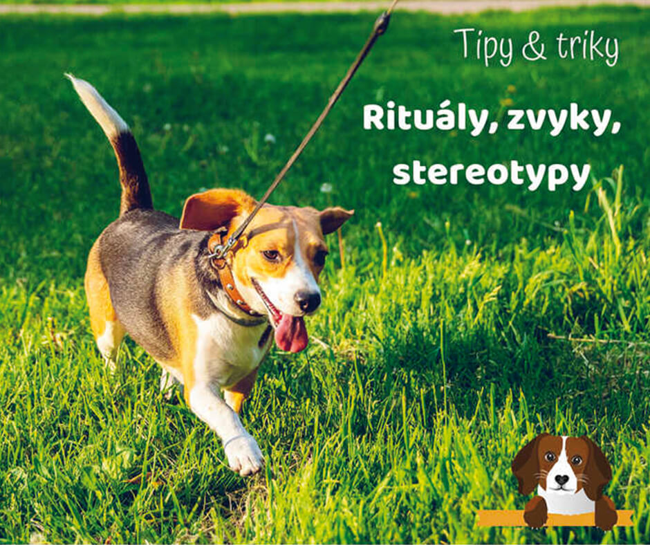 RITUÁLY, ZVYKY, STEREOTYPY