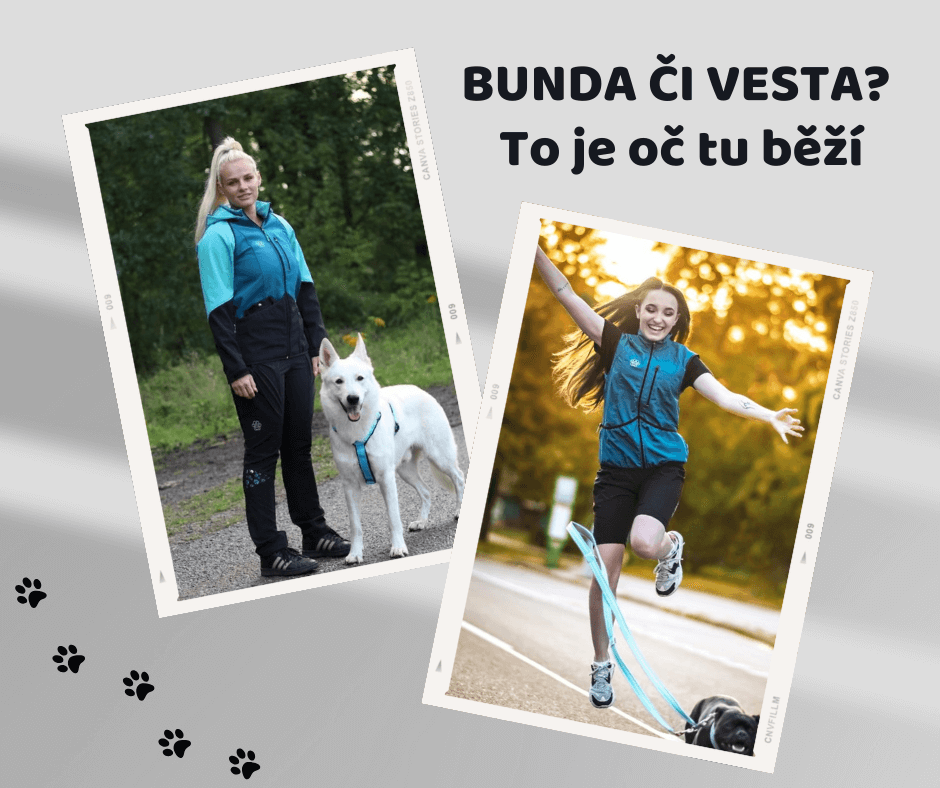 Bunda či vesta od 4dox?