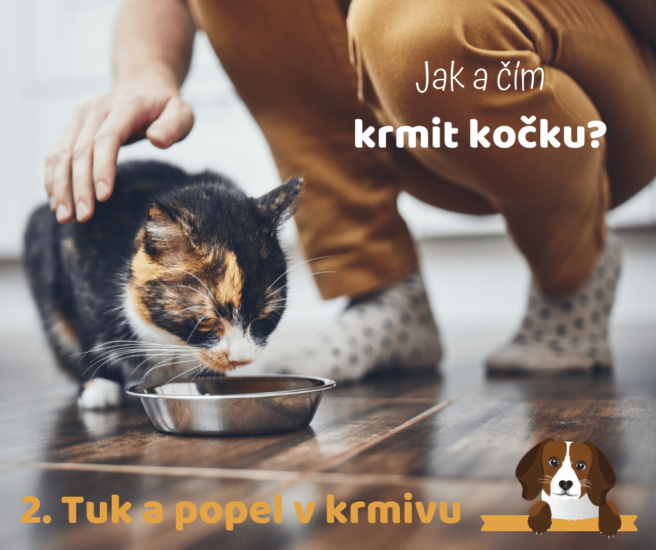 Tuk a popel v krmivu