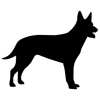 Reflex kelpie KE