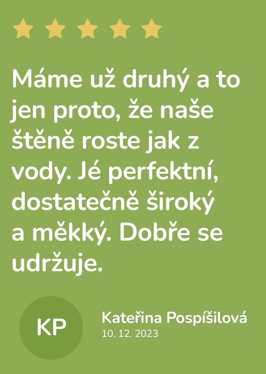 Obojek se jménem 2