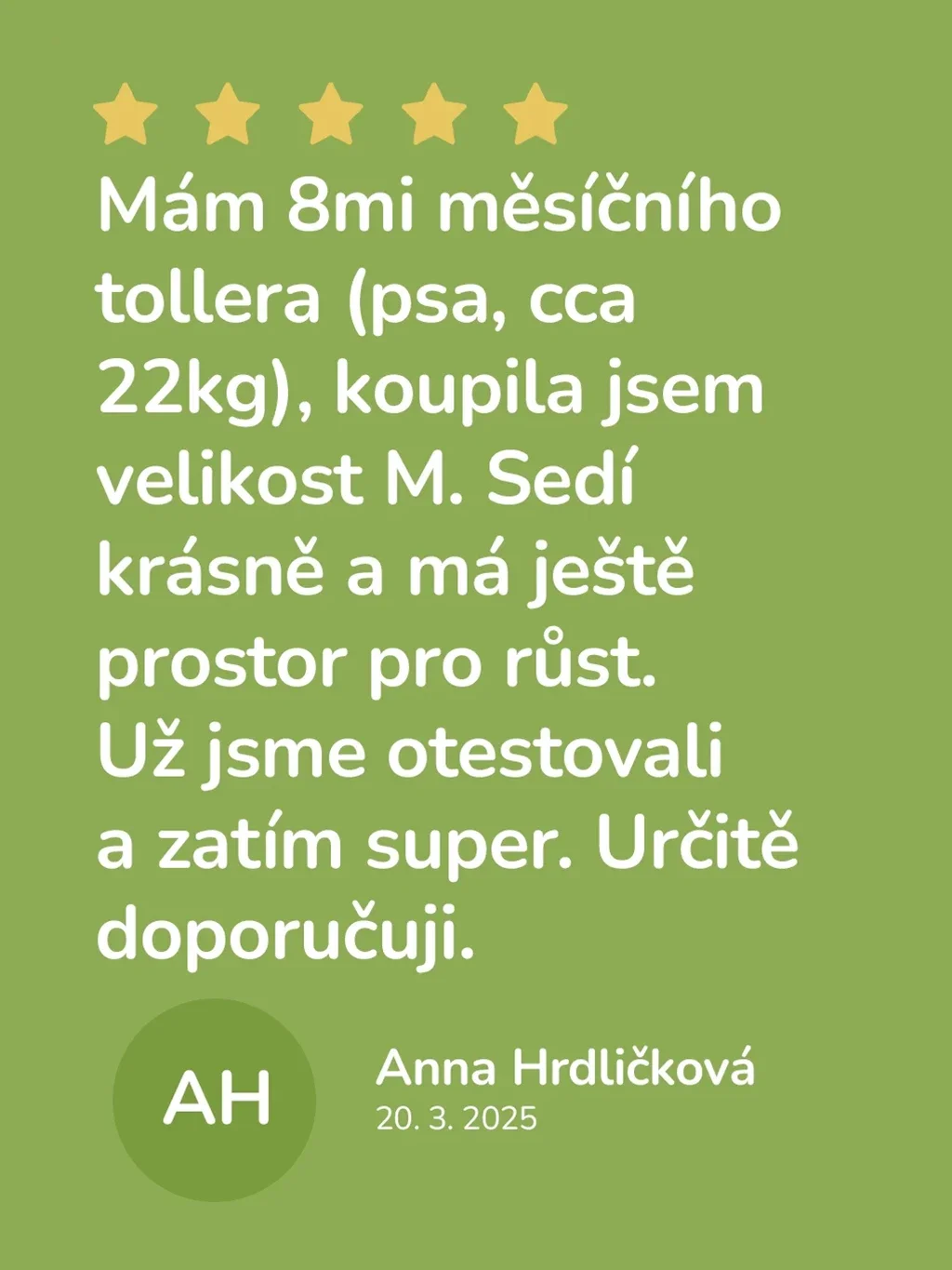 Postroj Comfort plus - pastel mint 4dox