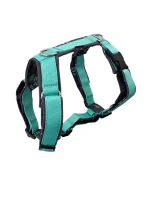 Postroj Comfort plus - mint s tlapkami 4dox