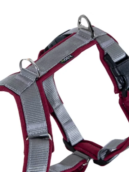 Postroj Comfort plus - stříbrný-granátový 4dox 2