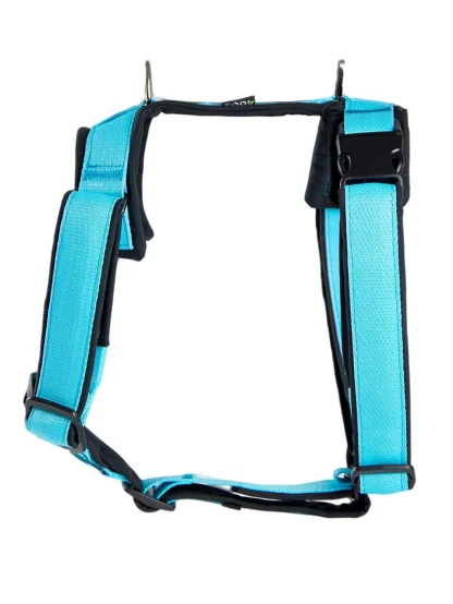 Postroj Comfort plus - tyrkys 4dox 2