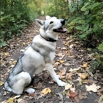 image-10