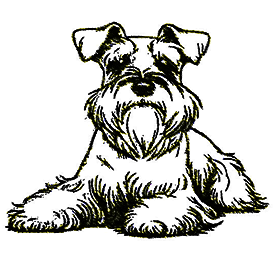 image-0