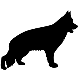 image-0