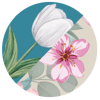 SPRING edition