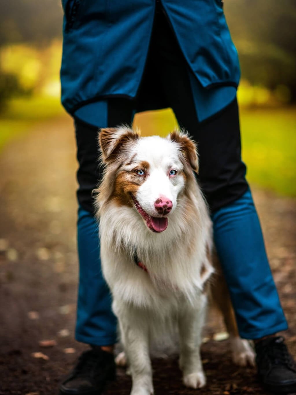 All-season coat teal