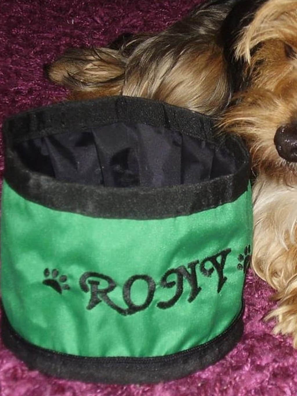 Travel bowl for smaller dogs - customized