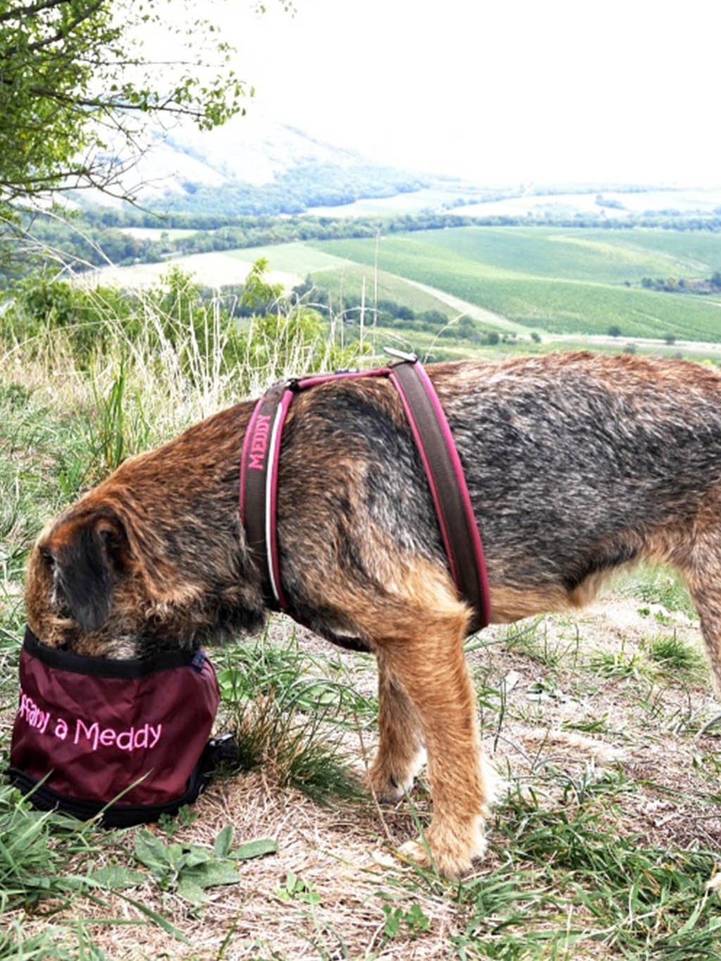 Travel bowl for larger dogs - customized