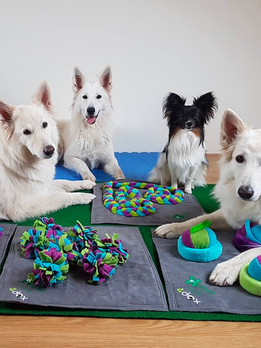 Sniffing blanket Labyrinth