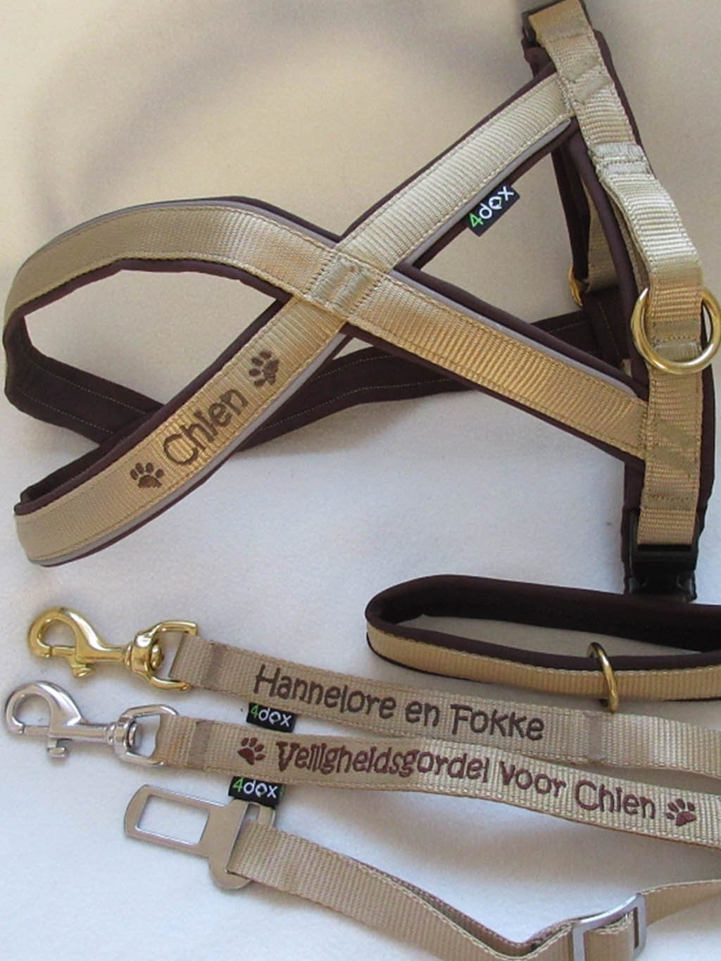 Classic leash - customized leash